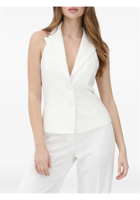 litchi gilet Pinko | Gilet | 106616-A34PZ07