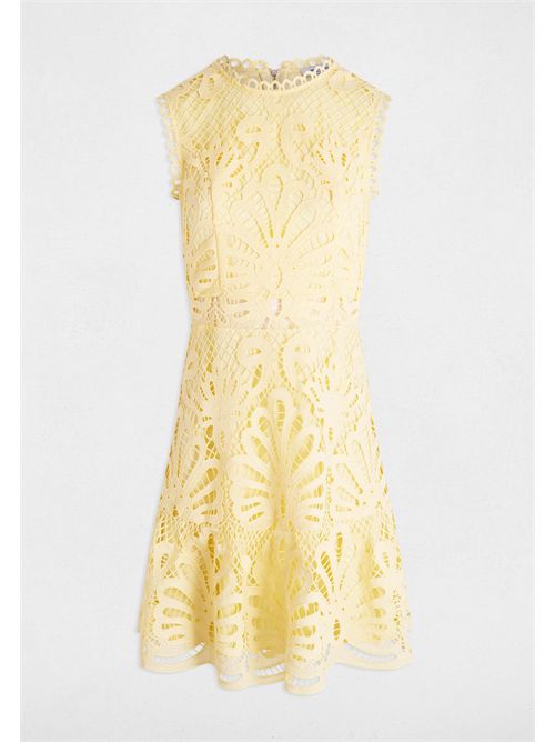  MORGAN DE TOI | ROSLIPALE BANANA