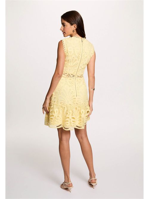  MORGAN DE TOI | ROSLIPALE BANANA