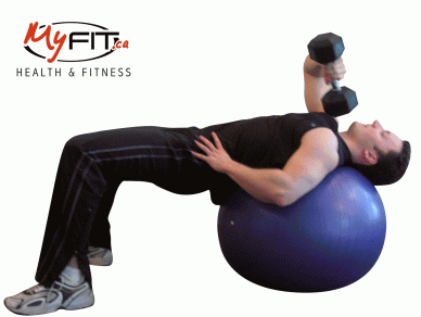 Lying one-arm dumbbell triceps extension on a stability ball