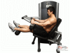 Leg Curl or Hamstring Curl Exercise Picture