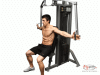 Machine Flyes (Pec Deck) Exercise Picture