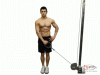 Shoulder / Deltoid Extensions Exercise Picture