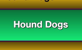 Hound Dogs