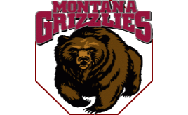 Montana Grizzlies