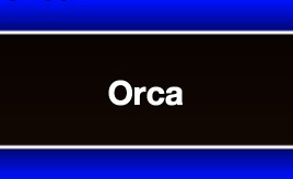 Orca