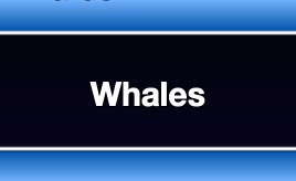 Whales