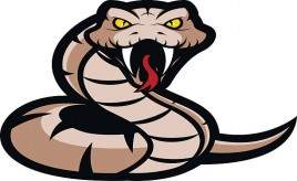 Rattlers