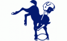 Team logo