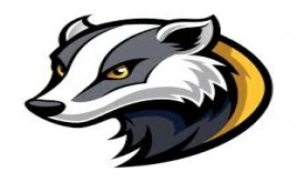 Badgers