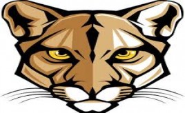 Cougars