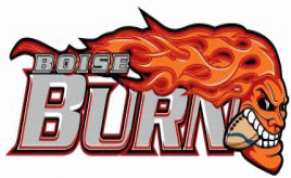 Burn