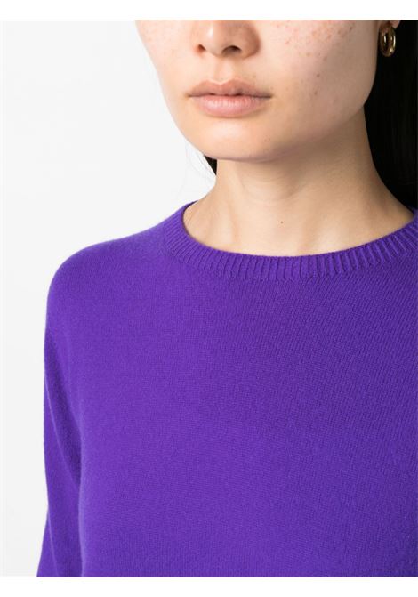 electric purple Amal cashmere knitwear  VANISE' | V24604-AMALPURPLE