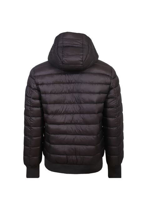 Piumino in nylon testa di moro PMDS | JK3831-AKIN0092