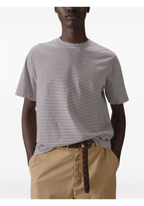 Striped cotton jersey T-shirt CIRCOLO 1901 | CN5340003