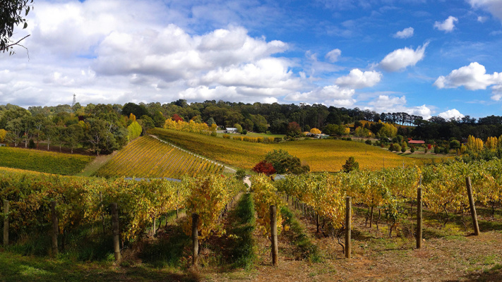 Ashton, South Australia