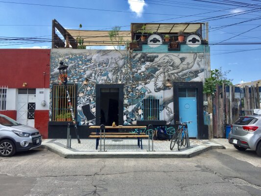 Col Americana, Guadalajara