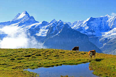 Grindelwald, Switzerland
