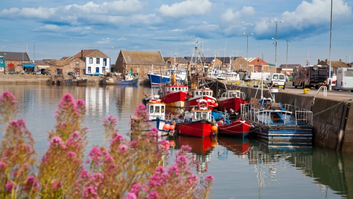 Harbour Road, Dublin