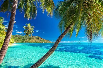 Moorea, French Polynesia