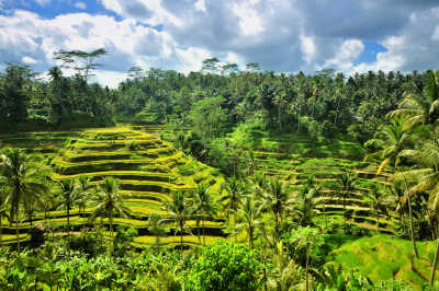 Ubud, Indonesia