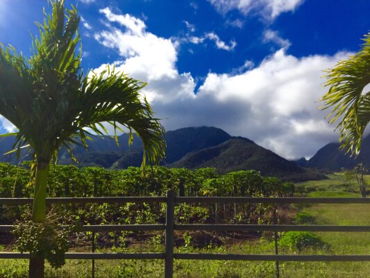 Waikapu, United States