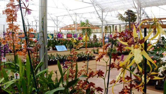 Akatsuka Orchid Gardens