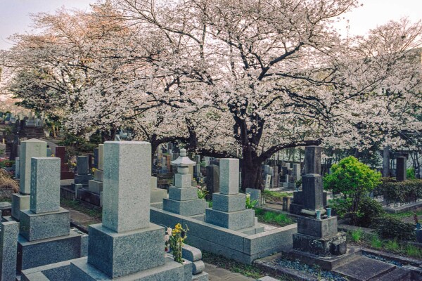 Aoyama Cemetery