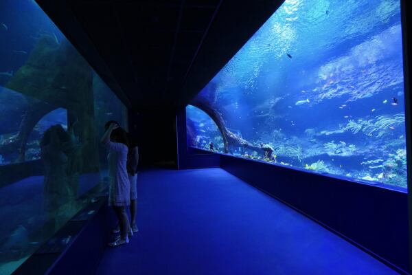 Biarritz Aquarium