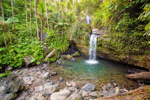 El Yunque National Forest