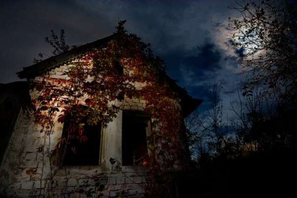 Haunted House of Horror
