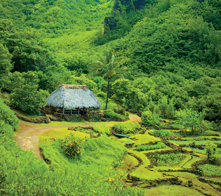 Limahuli Garden and Preserve