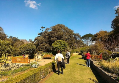 The Royal Botanic Garden Sydney
