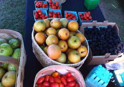 Tybee Island Farmers Market