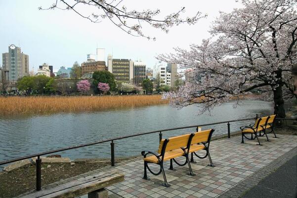 Ueno Park