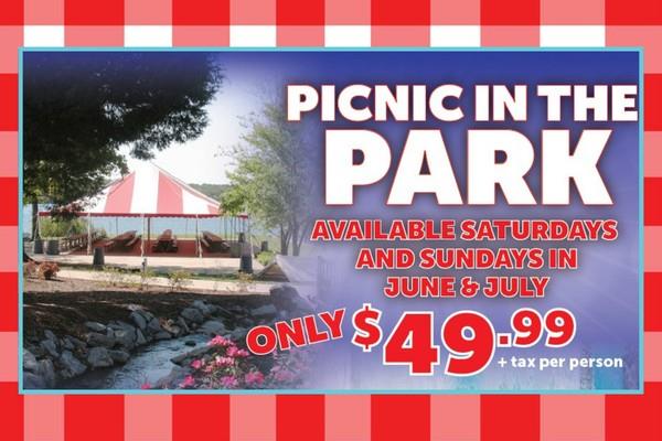 Picnic in the Park at Nashville Shores