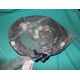Yaskawa Motoman, HS0170180-1, 150282-1, HARNESS, INTERNAL, YR-MPD200-C02