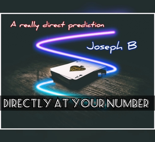 DIRECTLY AT YOUR NUMBER by Joseph B