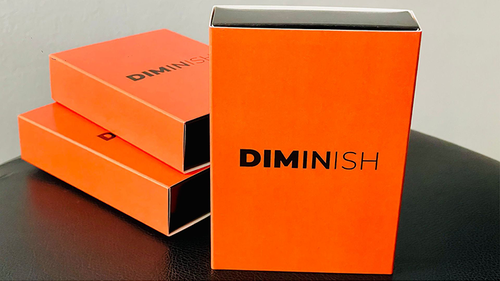 Diminish by Damian Surr （Video）