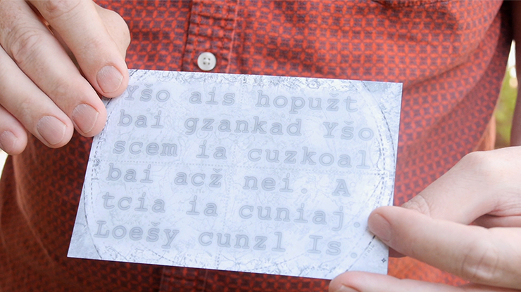 Narcissus By Chris Philpott Narcissus By Chris Philpott