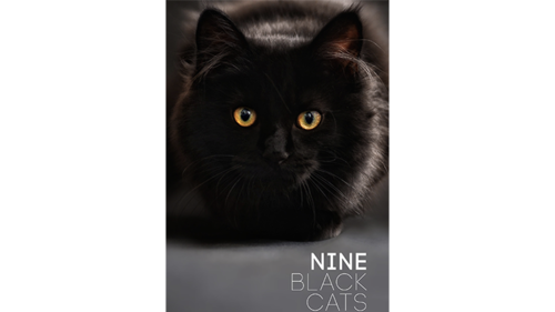 MAGIC BLACK CATS CDアルバム9枚セット Nine Black Cats by Neema Atri DRM Protected Ebook Download