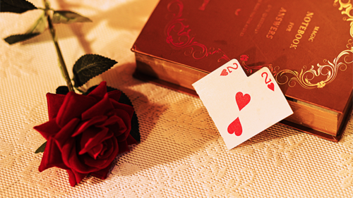 ShapeOfMyHeart☆ 68164-alt1.png