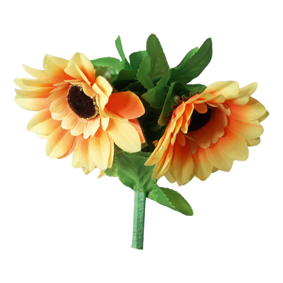Amazing split sunflower by premium magic Amazing split sunflower by premium magic