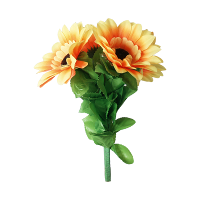 Amazing split sunflower by premium magic Amazing split sunflower by premium magic