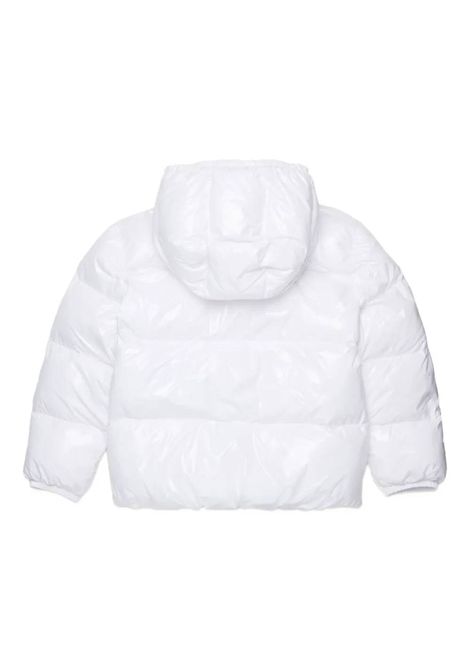  DSQUARED2 JUNIOR | DQ3042 D0ADYDQ100