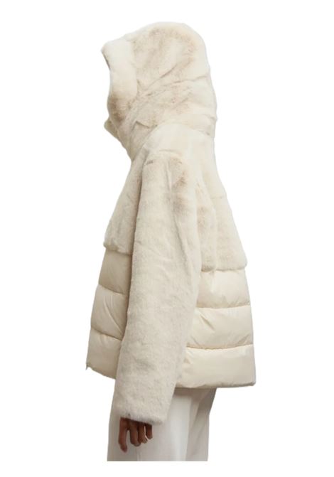 GIACCA DONNA BLAUER | GIUBBINO | 25WBLDC02178 006646907