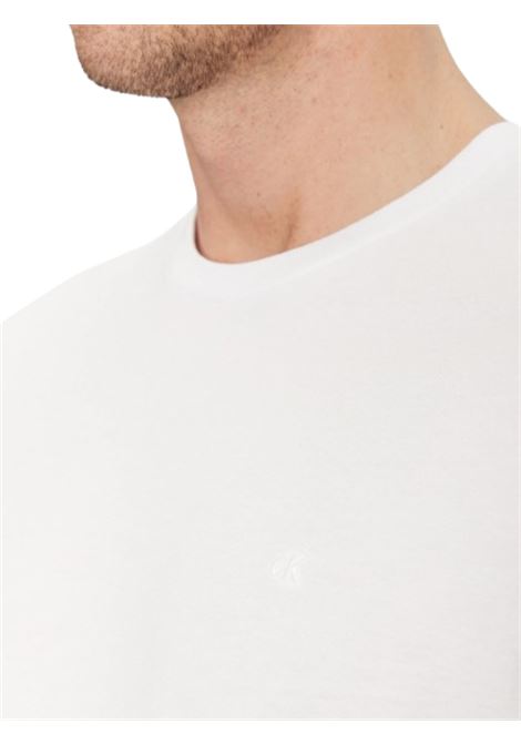 T-SHIRT UOMO CALVIN KLEIN | T-SHIRT | LV040HM265YAA