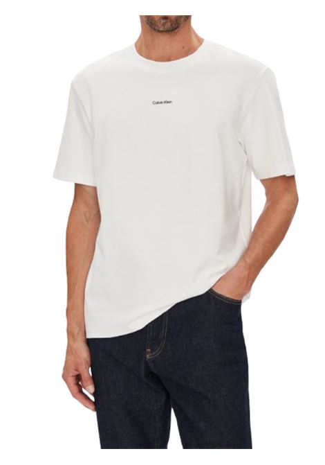 T-SHIRT UOMO CALVIN KLEIN | T-SHIRT | LV04LC241GYAF