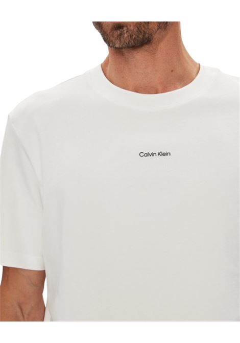 T-SHIRT UOMO CALVIN KLEIN | T-SHIRT | LV04LC241GYAF