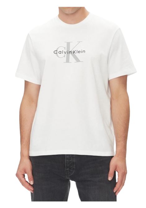 T-SHIRT UOMO CALVIN KLEIN | T-SHIRT | LV04RB862GYAA